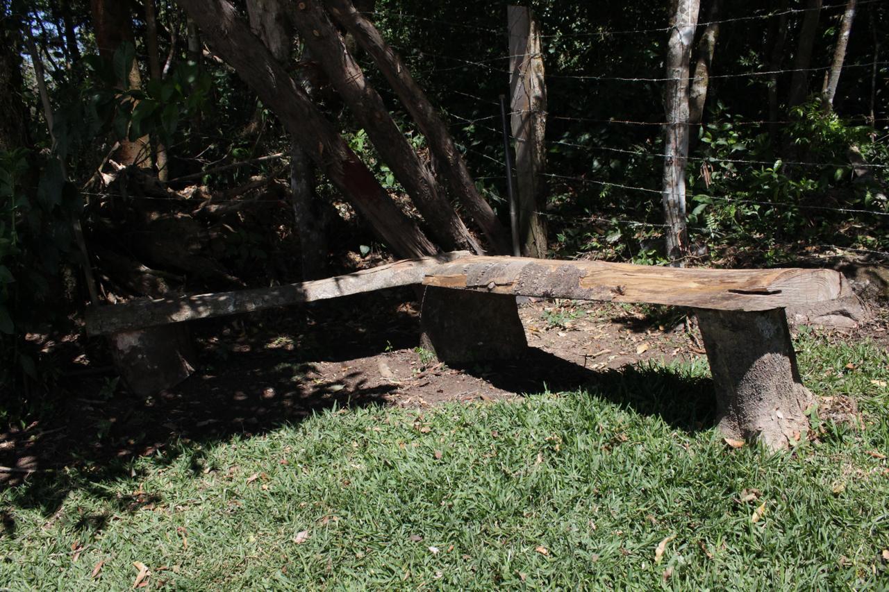 Greemount Hotel Monteverde Kültér fotó