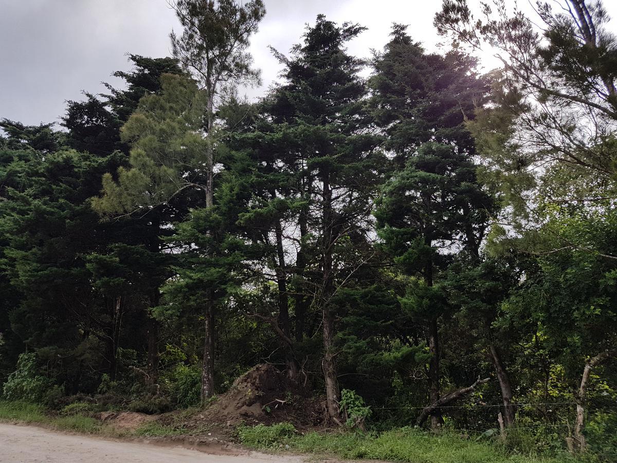Greemount Hotel Monteverde Kültér fotó