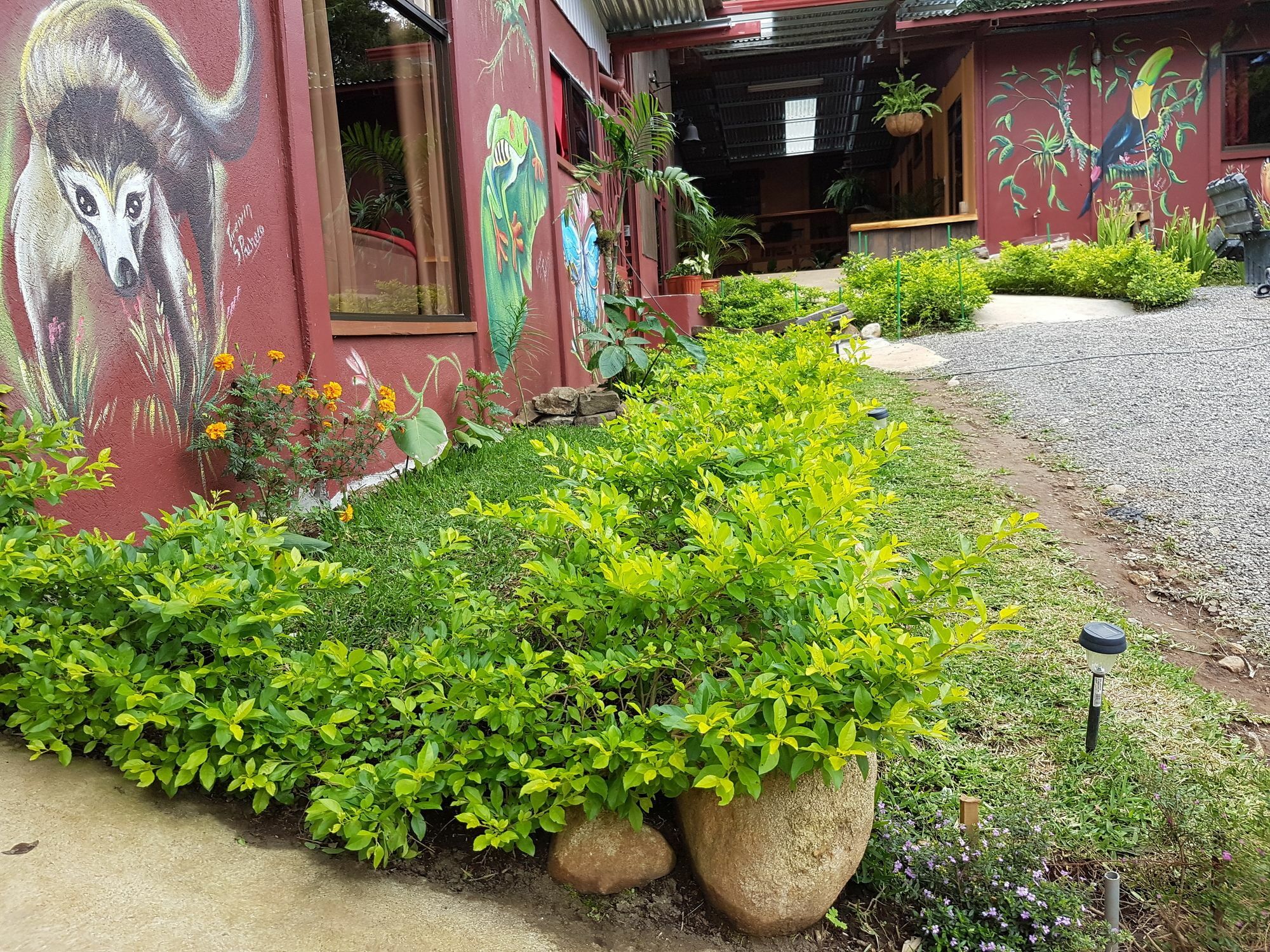 Greemount Hotel Monteverde Kültér fotó